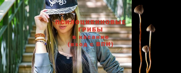 дмт Алексеевка