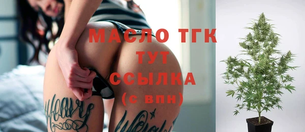 индика Абинск