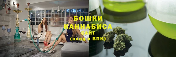 прущие грибы Абаза