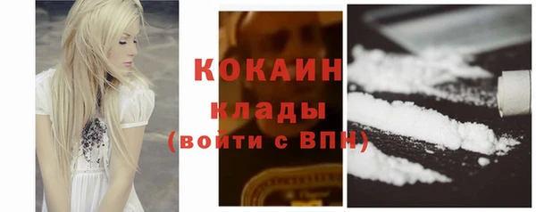 прущие грибы Абаза