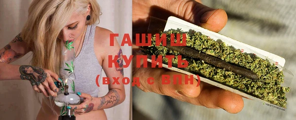 индика Абинск