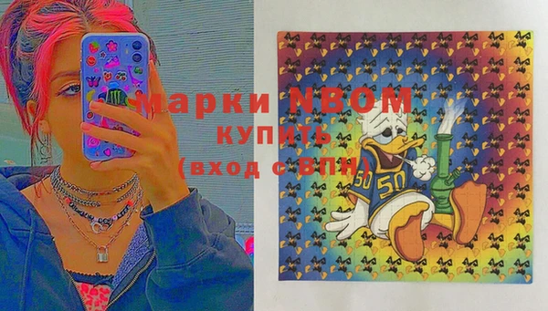 прущие грибы Абаза