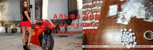прущие грибы Абаза