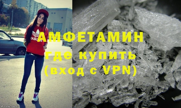 прущие грибы Абаза
