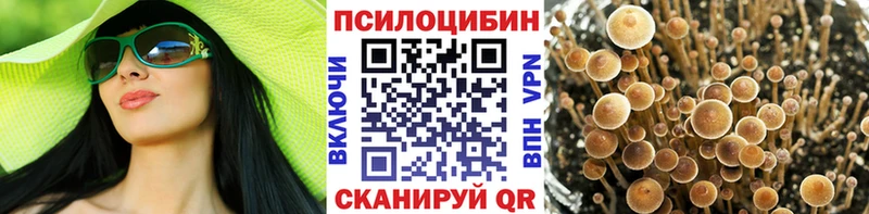 Псилоцибиновые грибы Magic Shrooms  купить  сайты  блэк спрут сайт  Скопин 