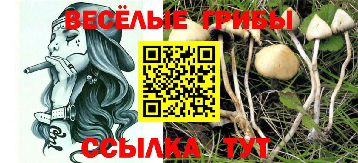 Галлюциногенные грибы Cubensis Скопин