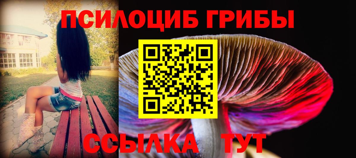 Скопин  Псилоцибиновые грибы мухоморы  Вход с VPN  Псилоцибиновые грибы мицелий 