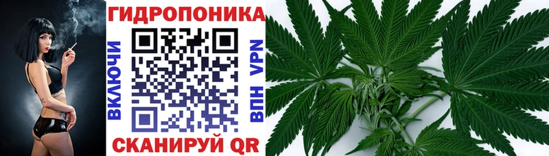 Марихуана марихуана  Скопин 